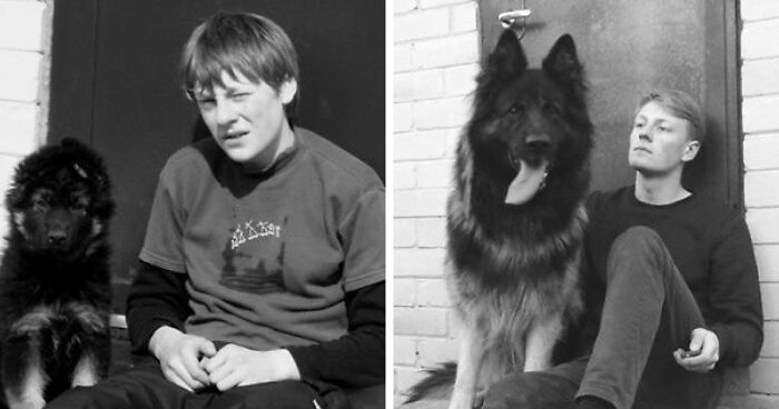 60 Precious Photos Of Pets Who Have Grown Up Alongside Their Owners (New Pics)