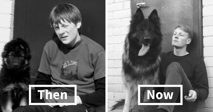 60 Precious Photos Of Pets Who Have Grown Up Alongside Their Owners (New Pics)