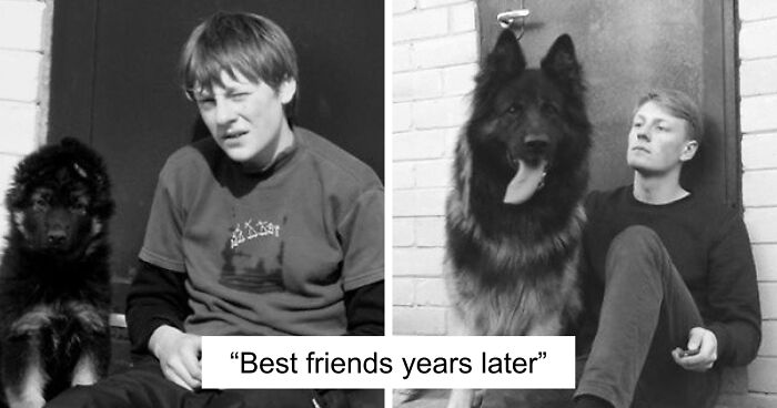 60 Precious Photos Of Pets Who Have Grown Up Alongside Their Owners (New Pics)