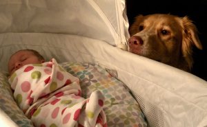 60 Pics Of Pets Growing Up With Their Humans That Might Just Make Your Day (New Pics)