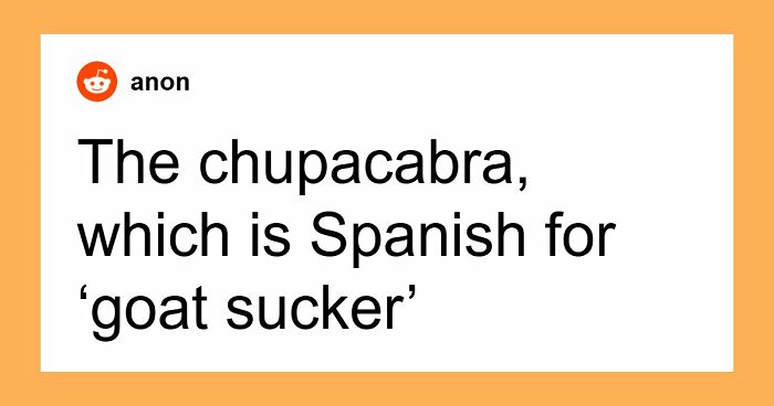 “I Think It’s Where The Aliens Are”: 69 Urban Legends That Still Freak People Out