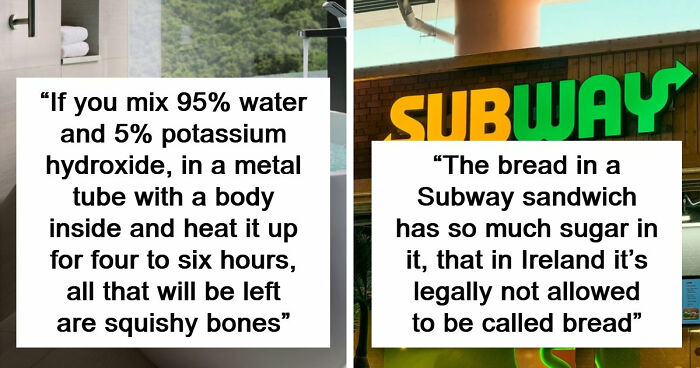 69 Facts About The World That People Somehow Know So You May Want To As Well