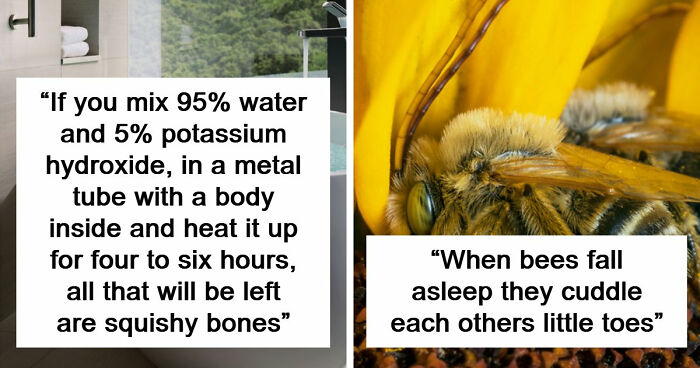 69 Facts About The World That People Somehow Know So You May Want To As Well