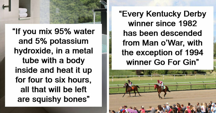 69 Facts About The World That People Somehow Know So You May Want To As Well