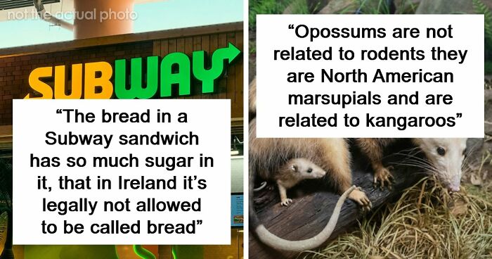 69 Facts About The World That People Somehow Know So You May Want To As Well