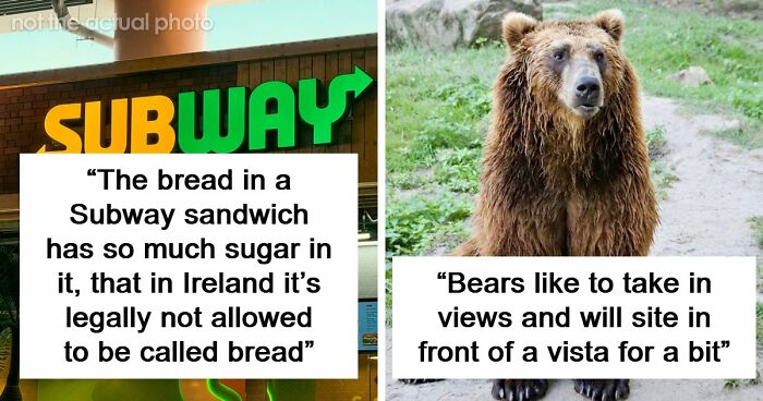 69 Facts About The World That People Somehow Know So You May Want To As Well