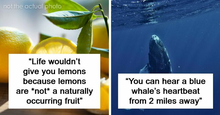 69 Facts About The World That People Somehow Know So You May Want To As Well