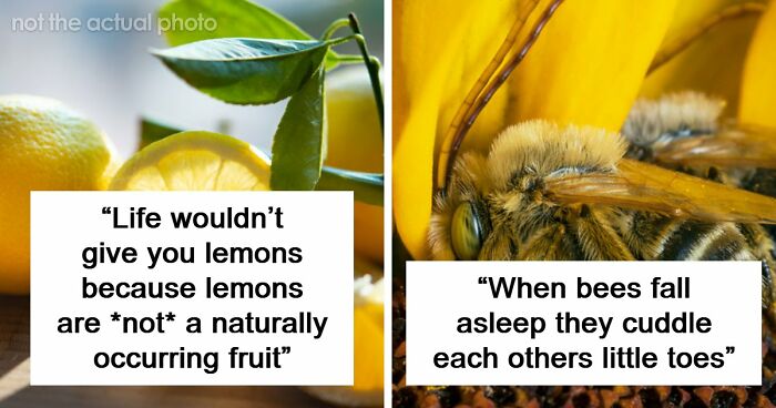 69 Facts About The World That People Somehow Know So You May Want To As Well