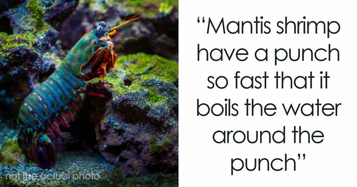 69 Facts About The World That People Somehow Know So You May Want To As Well