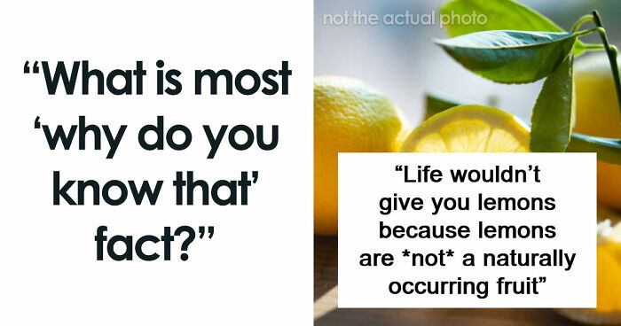 69 Facts About The World That People Somehow Know So You May Want To As Well