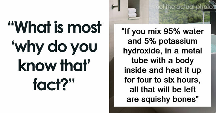 69 Facts About The World That People Somehow Know So You May Want To As Well