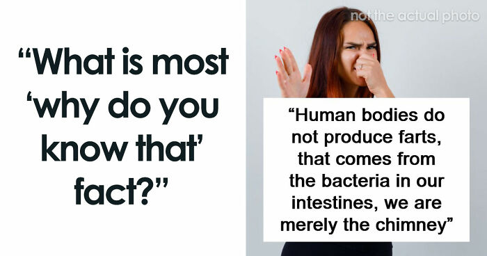 69 Facts About The World That People Somehow Know So You May Want To As Well