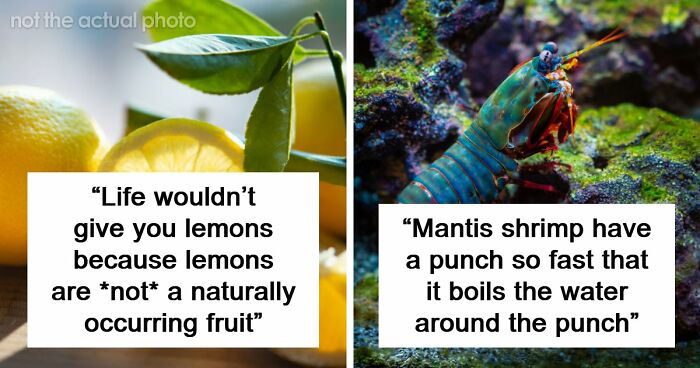 69 Facts About The World That People Somehow Know So You May Want To As Well