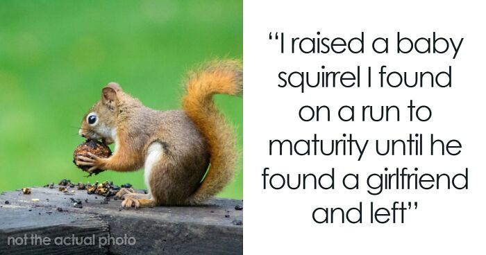 “No One Ever Believes Me”: 67 People Share Stories They Swear Actually Happened