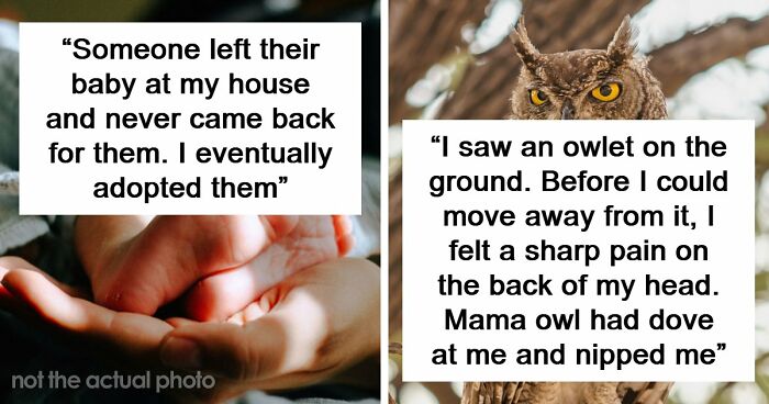 “No One Ever Believes Me”: 67 People Share Stories They Swear Actually Happened