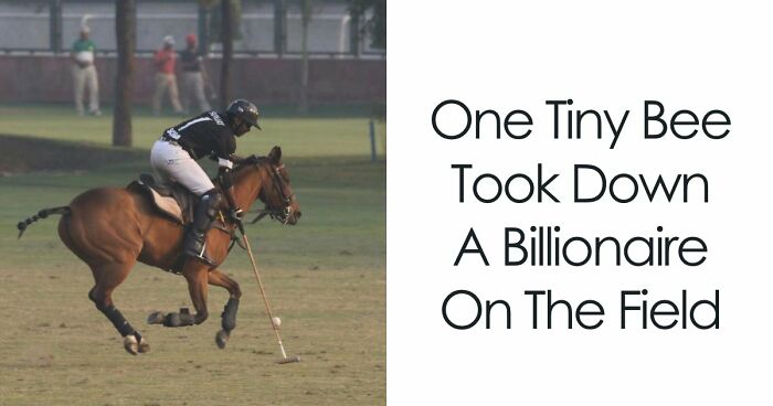 81 Times People Didn’t Think Their Message Layout Through And It Resulted In These Fails (New Pics)