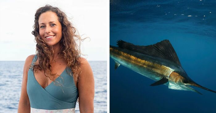 81 Times People Didn’t Think Their Message Layout Through And It Resulted In These Fails (New Pics)