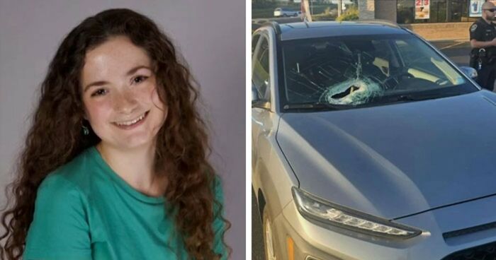 20 Breathtaking Nature Photos That Won The GDT 2026 Competition