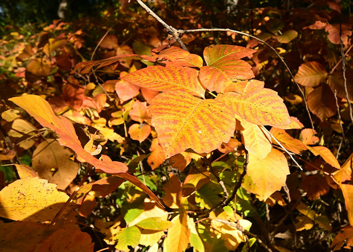 65 Times People Took Petty Revenge On Someone And It Warmed Their Evil Little Hearts