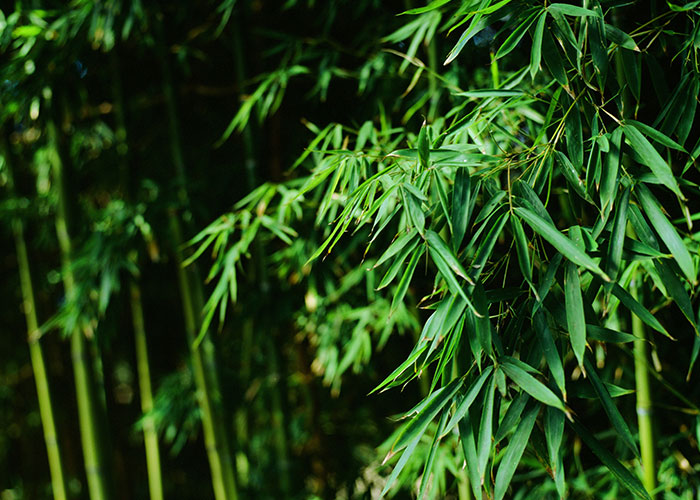 65 Times People Took Petty Revenge On Someone And It Warmed Their Evil Little Hearts