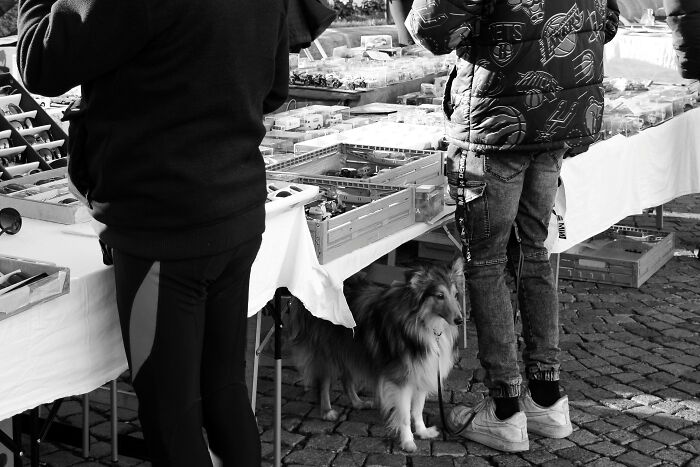 79 Ridiculously Laughable Customer Complaints That Made Everyone Question The Person’s Intelligence