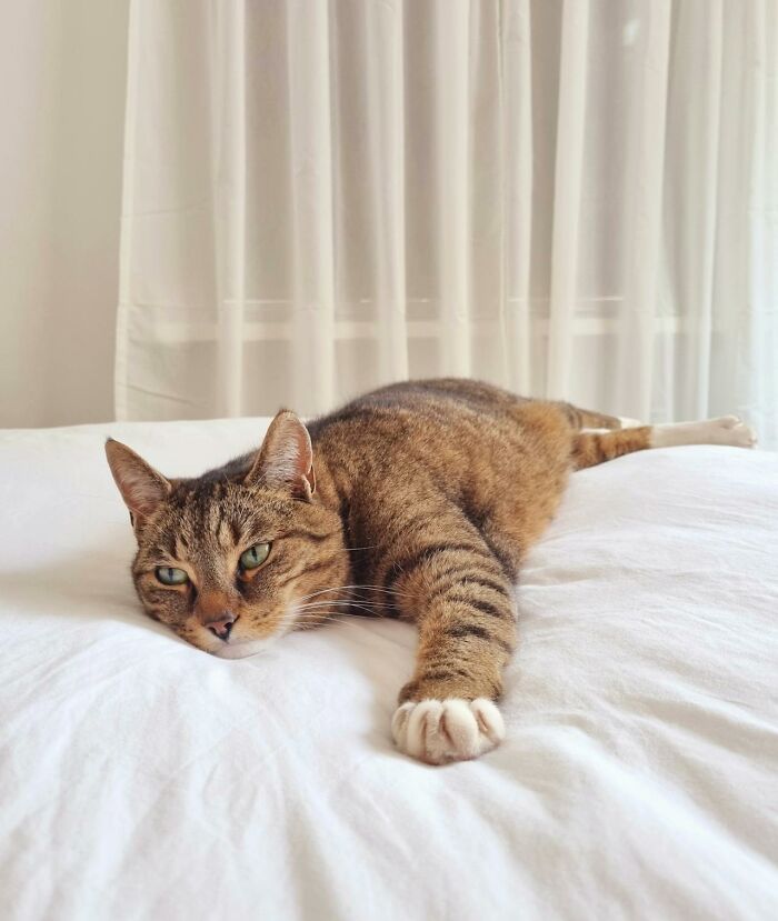 “They Thought I Was Crazy”: 77 Creepy Incidents That Made People Believe In The Paranormal