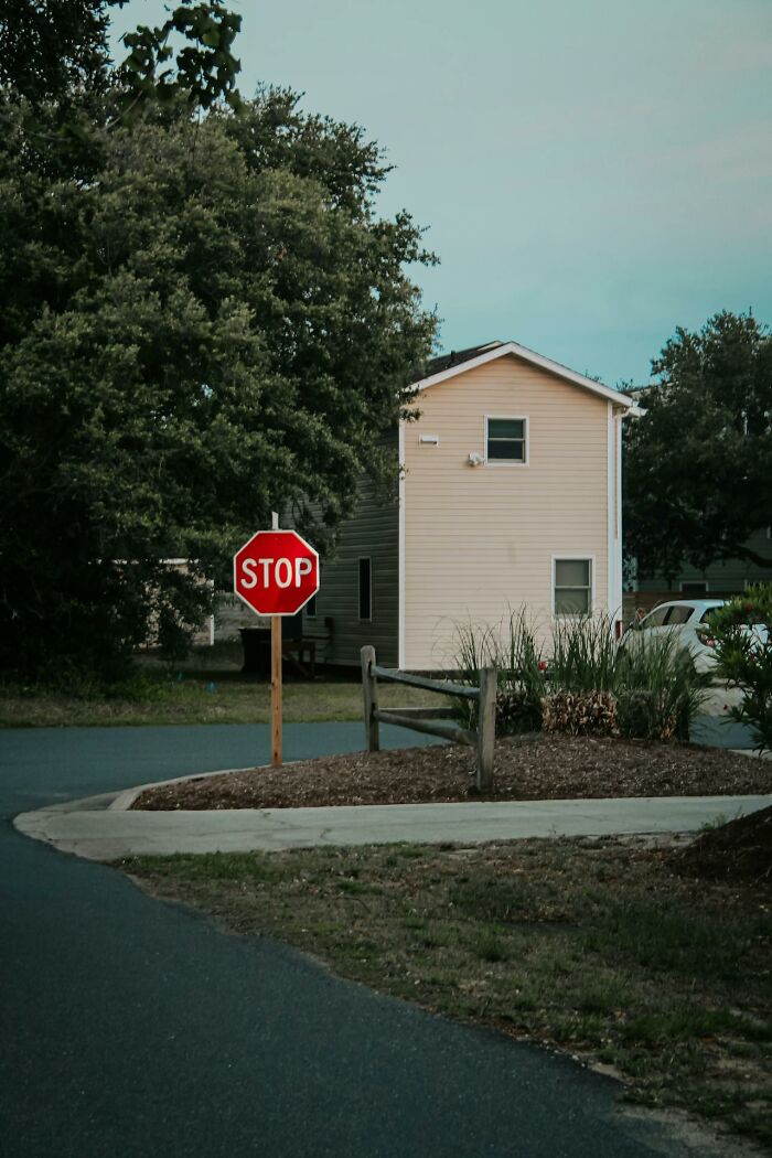 Stop sign near a suburban house surrounded by trees and plants, illustrating intuition being proved right.
