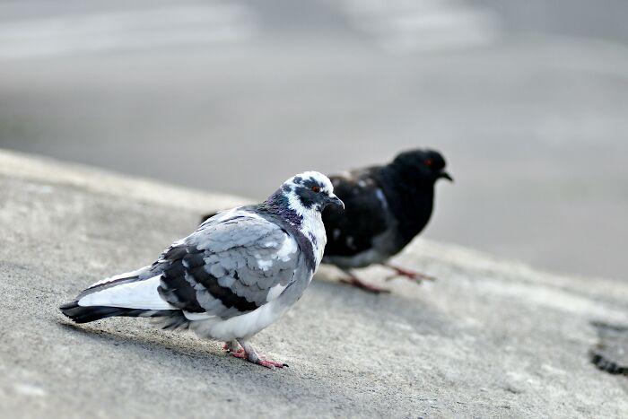 "No Curtains Or Anything": 57 Wildest Things People Saw Their Neighbors Do