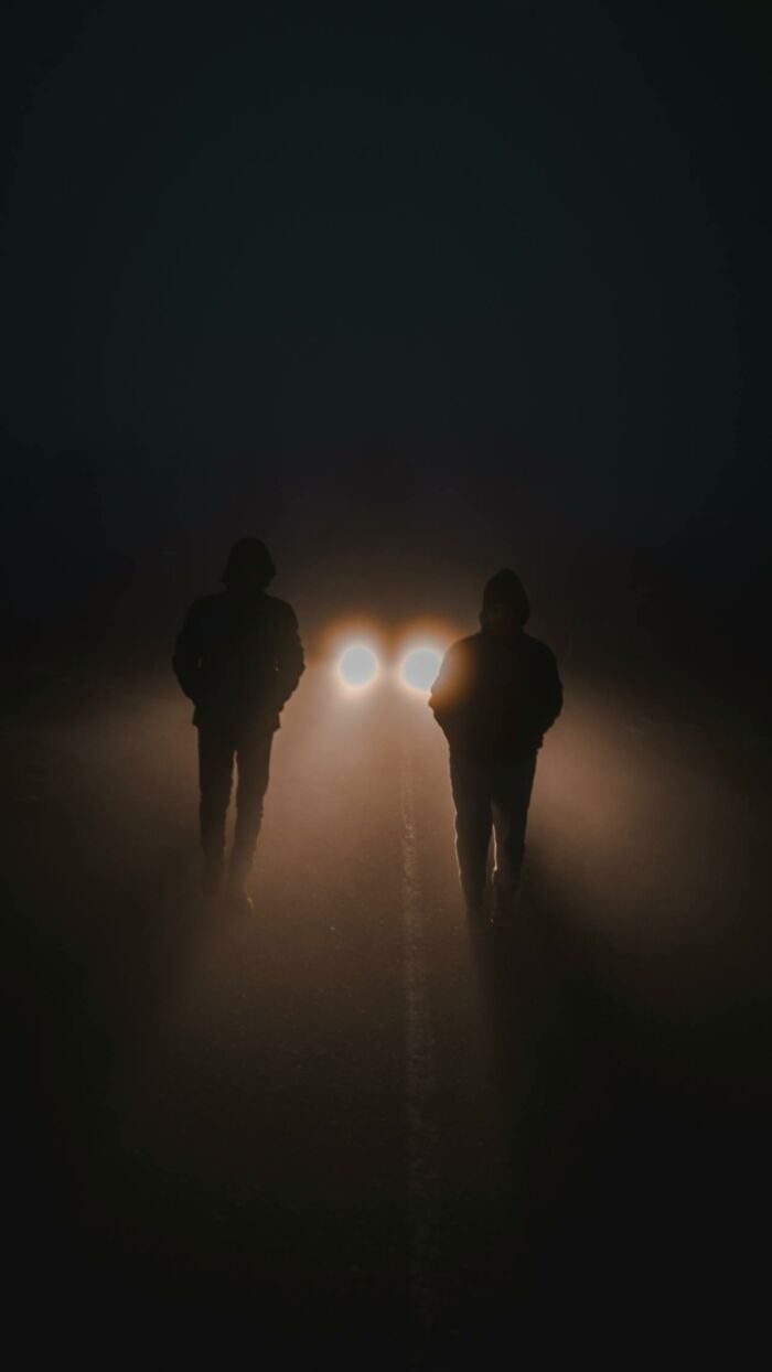 Home Alone At Night, Thank Godness For Dogs!