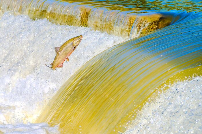 65 Terrifying Statistics That Might Make It Hard To Sleep Tonight