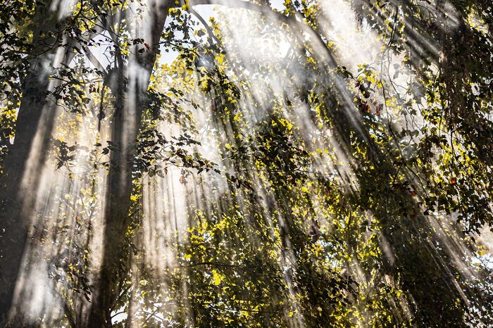 79 Weird And Interesting Medical Facts That Turned Out To Be True