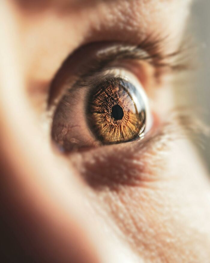 Close-up of a human eye highlighting detailed iris patterns, illustrating weird and interesting medical facts.