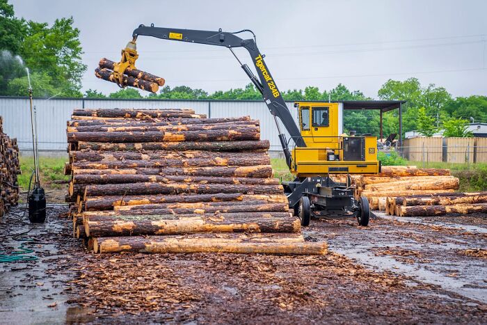 Yellow logging machine stacking large timber logs at a sawmill yard with wild times employees quitting work nearby
