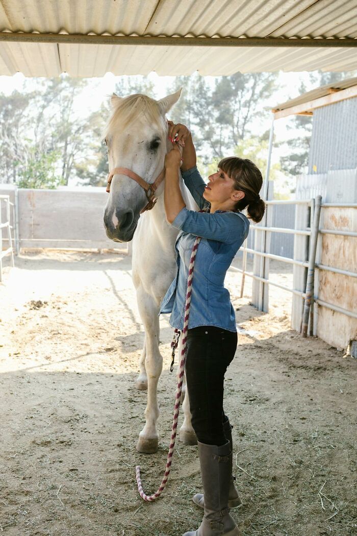 Woman grooming a white horse in a stable, illustrating wild times employees deciding to quit their job immediately.