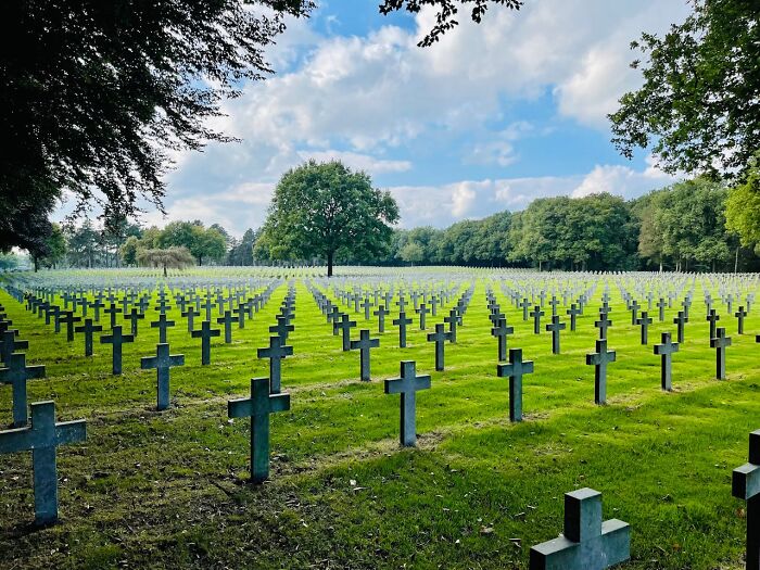 Rows of grave crosses in a cemetery under a cloudy sky, symbolizing terrifying statistics that might make it hard to sleep.