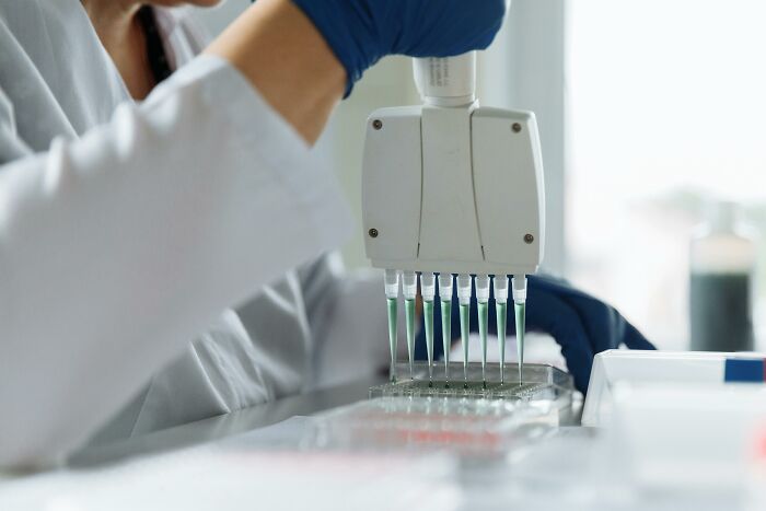 Scientist wearing gloves using a multi-channel pipette in a lab conducting DNA testing for ancestry results.