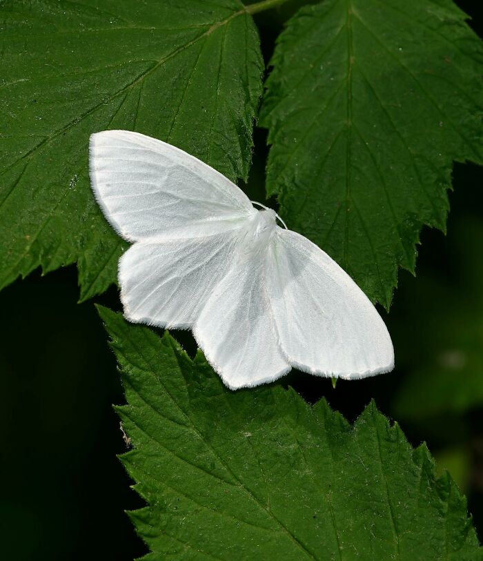 A Lesson For Wannabe Criminals