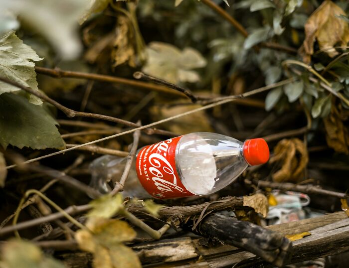 34 Stories Of Near-Misses That Could’ve Changed Everything, Shared By Folks Online