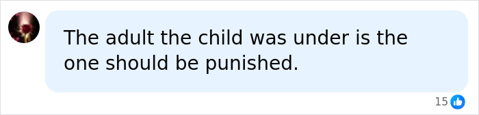 Legal Expert Reveals Chilling Reason 11-Year-Old Could Face First-Degree Homicide In Brother’s Passing Legal Expert Reveals Chilling Reason 11-Year-Old Could Face First-Degree Homicide In Brother’s Passing