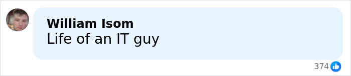 Comment on social media from William Isom saying Life of an IT guy with 374 likes, relating to judge viral court critics.