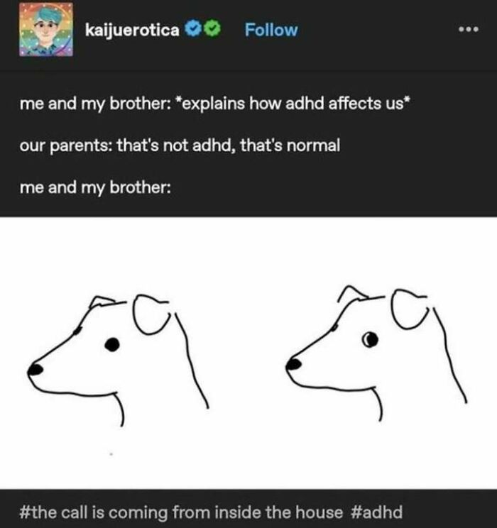 Tumblr artist post humorously illustrating ADHD experiences with simple dog drawings, reflecting creative internet art.