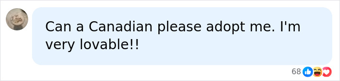A social media post reads Can a Canadian please adopt me. I'm very lovable!!, reflecting internet reactions to Canadian Citizenship news.