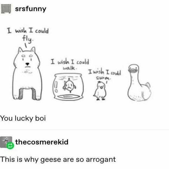 Cartoon drawing by Tumblr artists showing animals wishing for abilities they lack, highlighting creative Tumblr artists online.