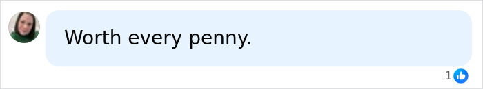 User profile picture and comment saying Worth every penny with one like reaction on a social media post.