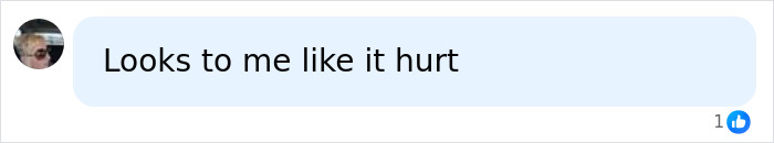 Screenshot of social media comment reading Looks to me like it hurt, related to LeAnn Rime's emotional response to jaw release therapy.