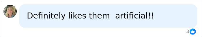 Comment bubble displaying text about artificial liking with a blurred profile photo, related to Kristi Noem&rsquo;s husband allegation.