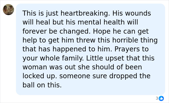 Facebook comment expressing heartbreak and concern over a toddler attacked by a woman with a knife, discussing the incident aftermath.