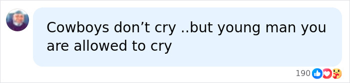 Social media comment expressing emotion with 190 reactions, related to police fatally taking down woman attacking toddler.