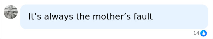 Social media comment stating "It&rsquo;s always the mother&rsquo;s fault" related to McDonald&rsquo;s CEO viral Big Arch Burger reaction.