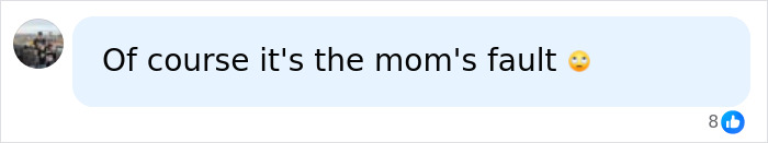 Screenshot of a social media comment blaming mom for viral Big Arch Burger reaction discussed by McDonald&rsquo;s CEO.